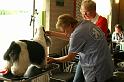 JH dag 2008 008a